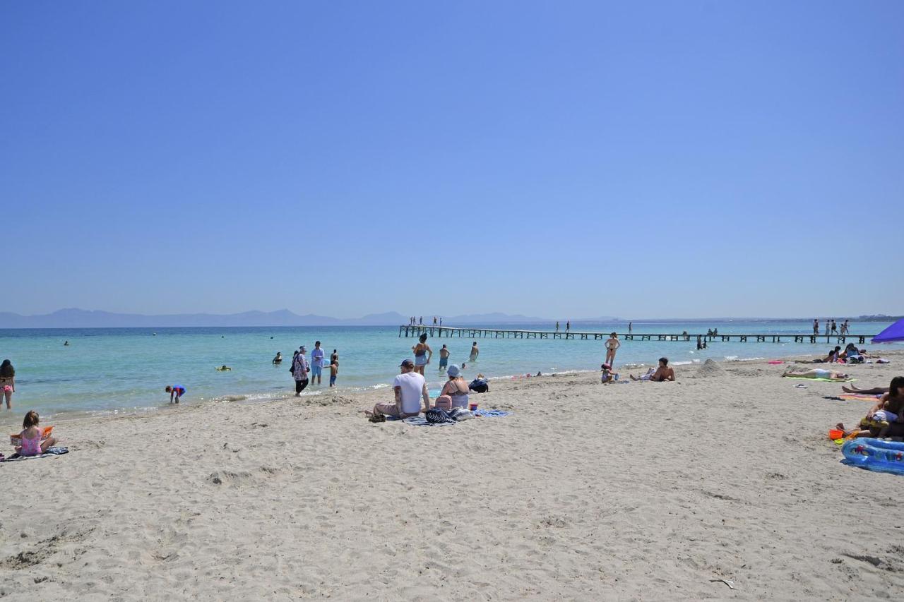 Oliva Alcudia (Mallorca)